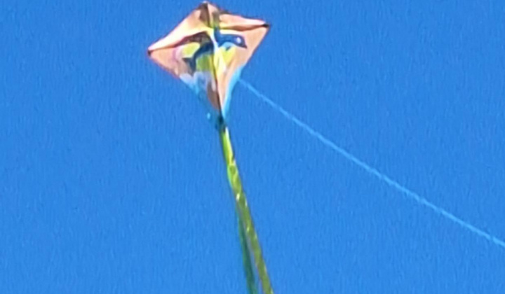 Šarkaniáda 2025 - MŠ