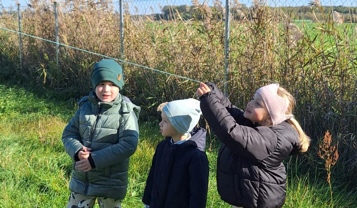 Šarkaniáda 2025 - MŠ