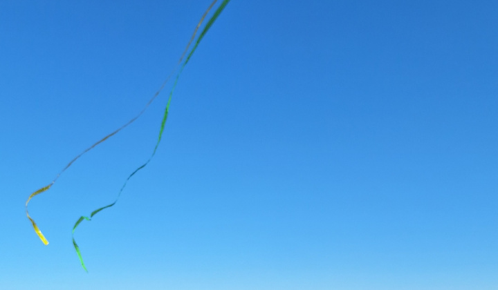 Šarkaniáda 2025 - MŠ