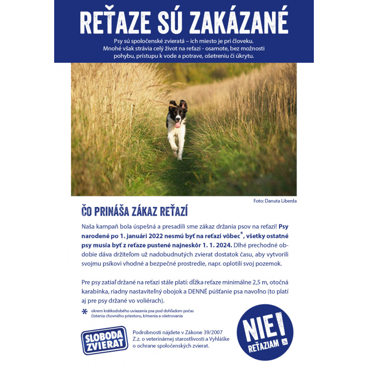 Menšia fotka pre článok Zákaz držania psov na reťazi